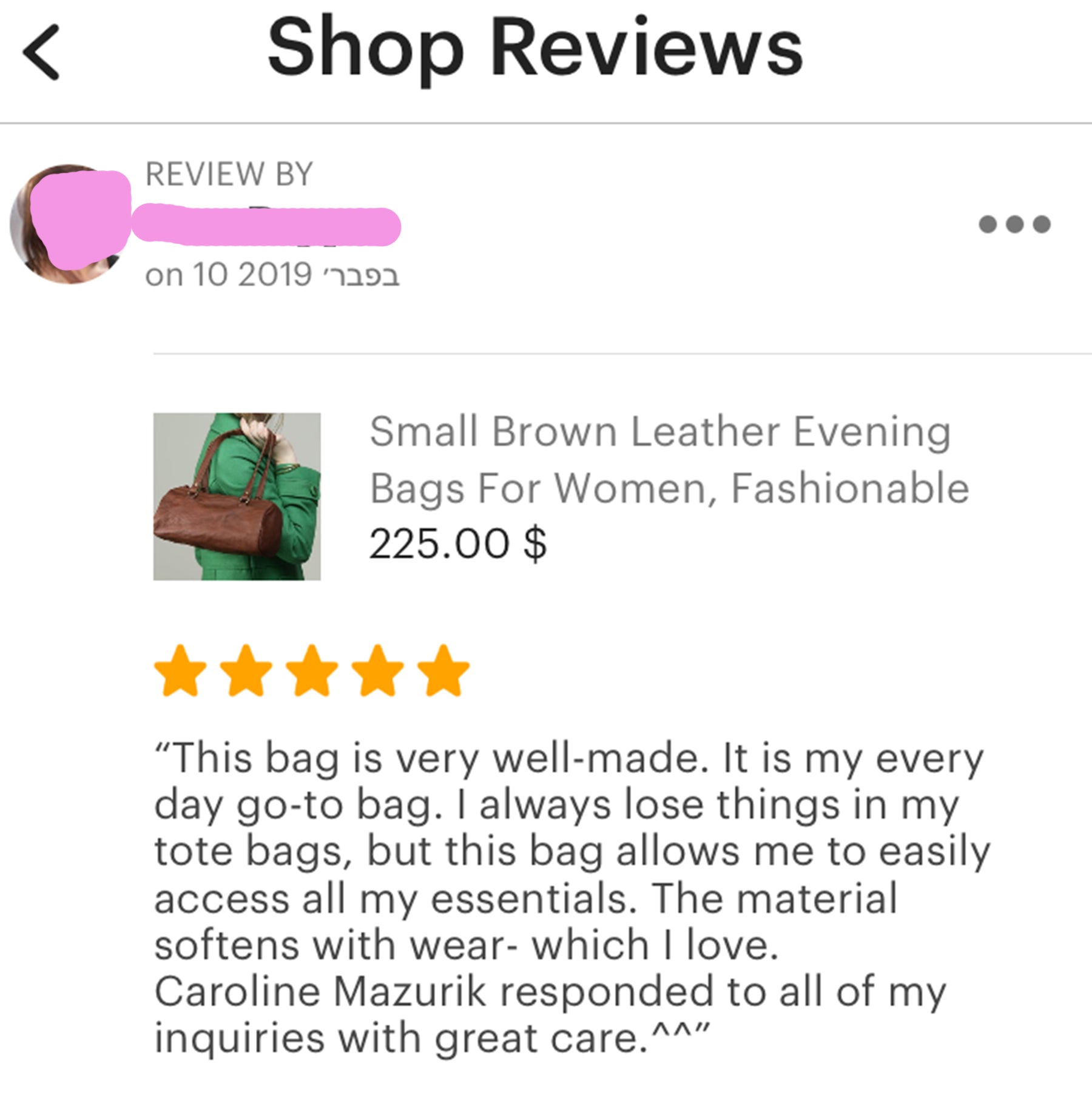 GAIL Brown Shoulder Handbag